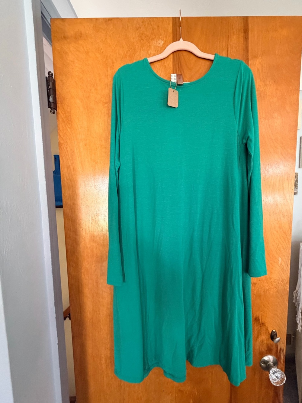 Solid Green Long Sleeve Swing Dress